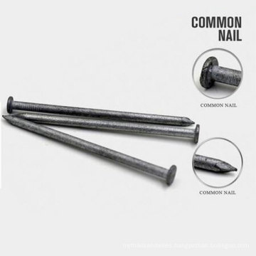 Professional Carbon Q195 Common Nail Sizes Steel Wire for Nail